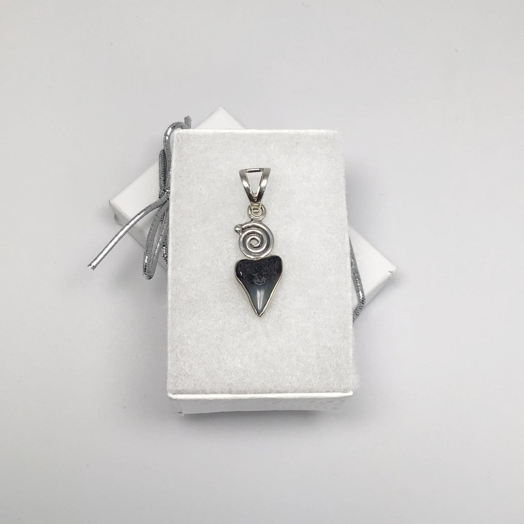 Fossilized Shark Tooth Pendant - Rocks and Gems Canada
