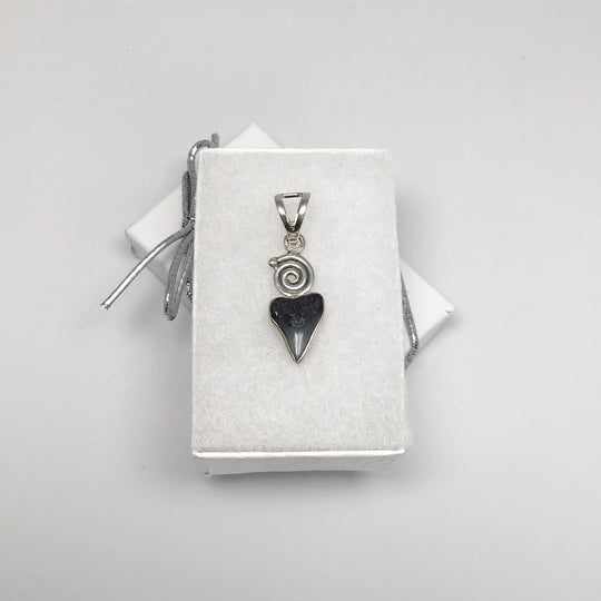Fossilized Shark Tooth Pendant - Rocks and Gems Canada