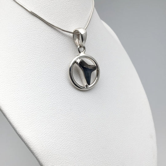 Fossilized Shark Tooth Pendant - Rocks and Gems Canada