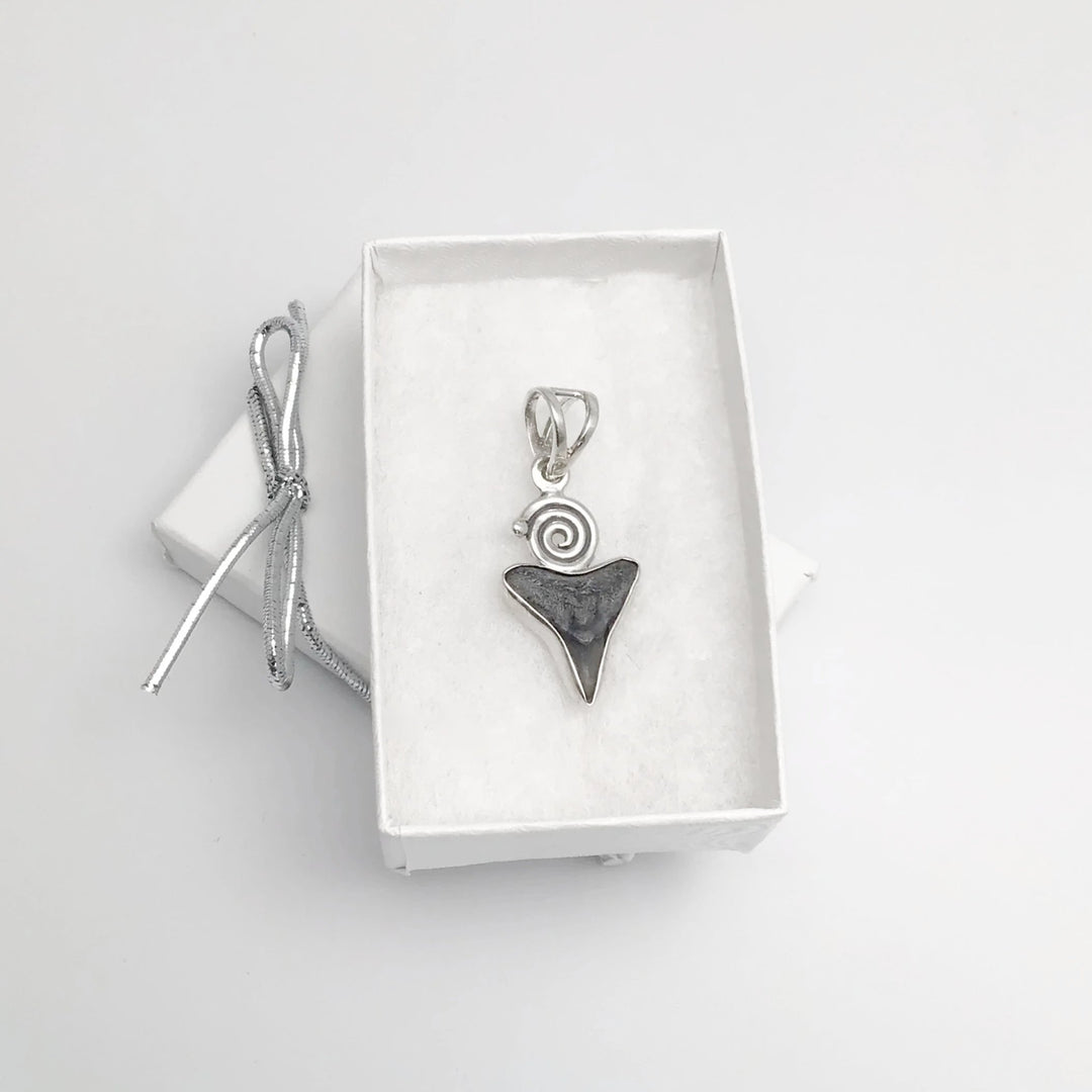 Fossilized Shark Tooth Pendant - Rocks and Gems Canada