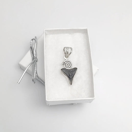 Fossilized Shark Tooth Pendant - Rocks and Gems Canada