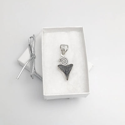 Fossilized Shark Tooth Pendant