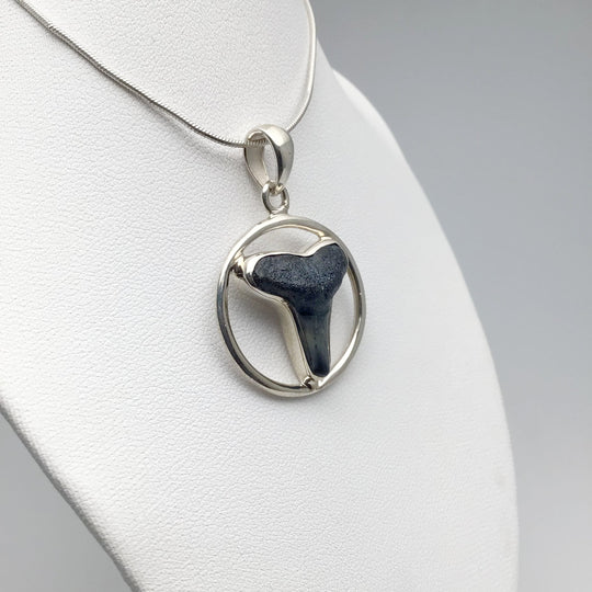 Fossilized Shark Tooth Pendant - Rocks and Gems Canada