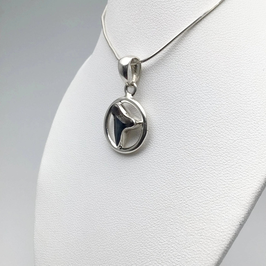 Fossilized Shark Tooth Pendant - Rocks and Gems Canada