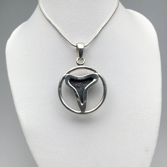 Fossilized Shark Tooth Pendant - Rocks and Gems Canada