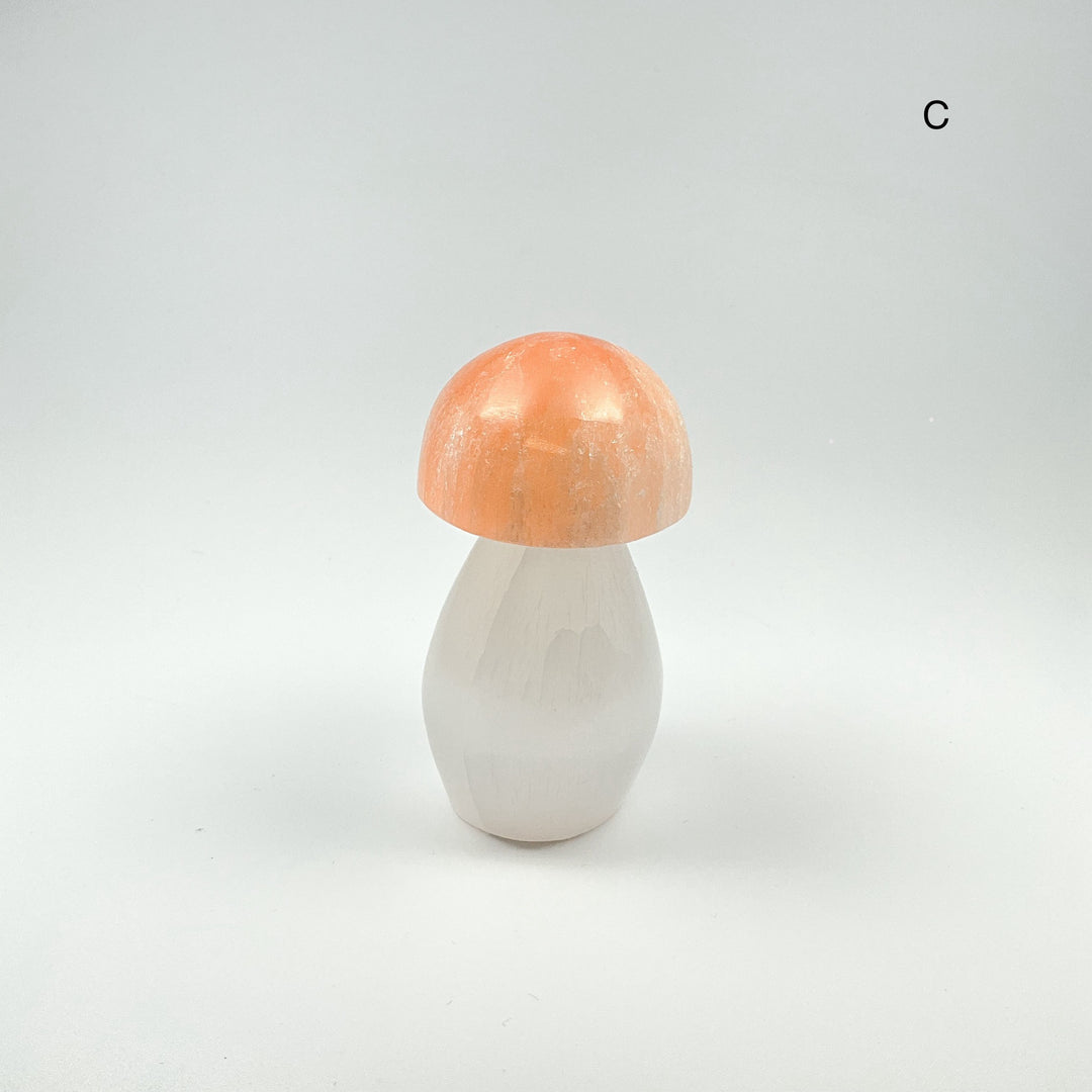 Selenite Mushroom - Rocks and Gems Canada