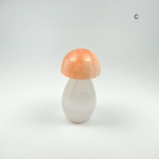 Selenite Mushroom - Rocks and Gems Canada