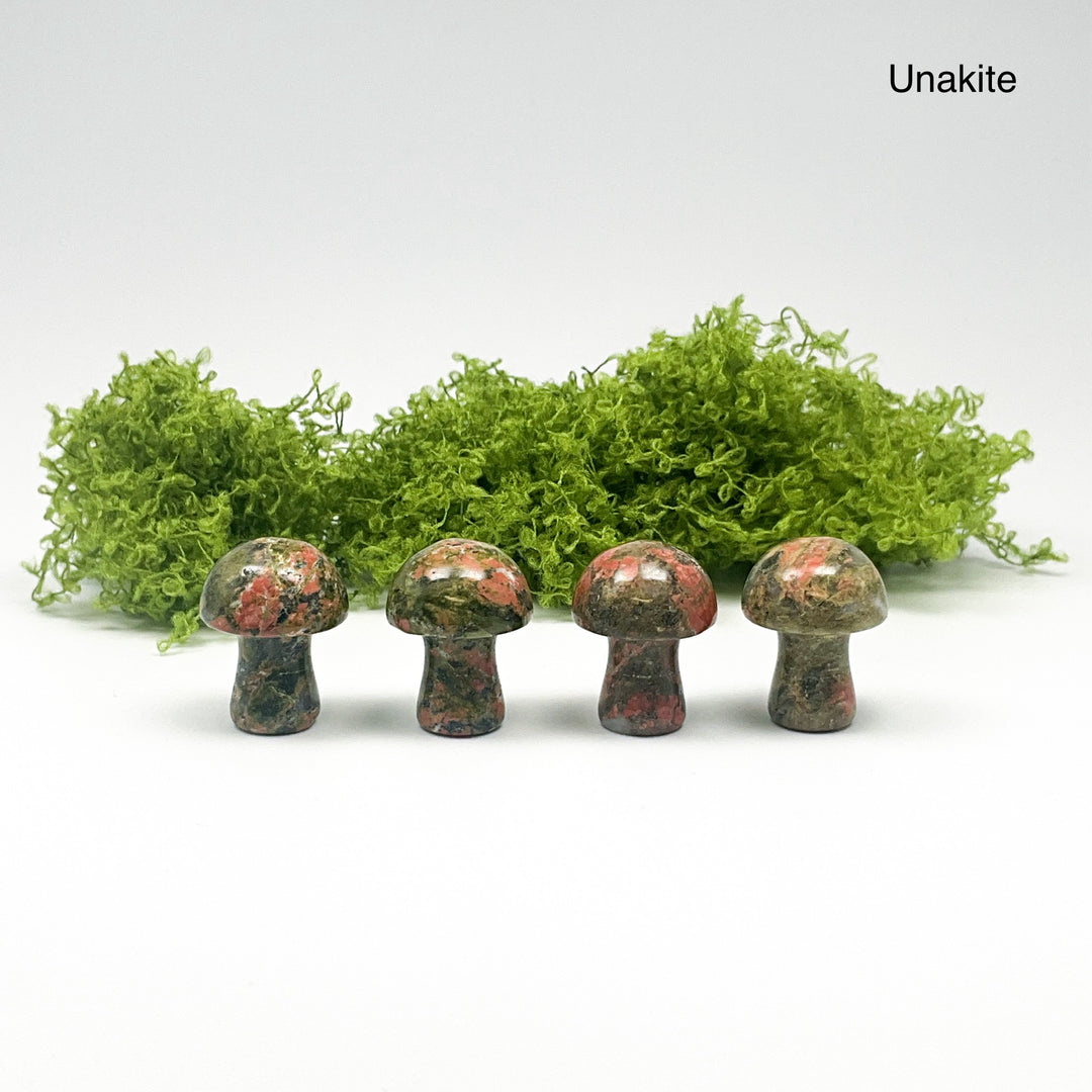 Gemstone Mushroom