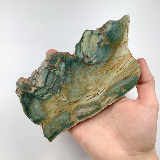 Gary Green Jasper Slab - Rocks and Gems Canada