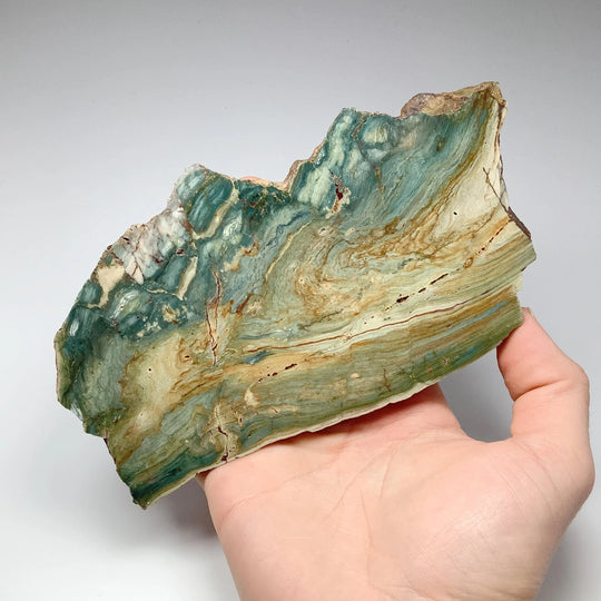 Gary Green Jasper Slab - Rocks and Gems Canada