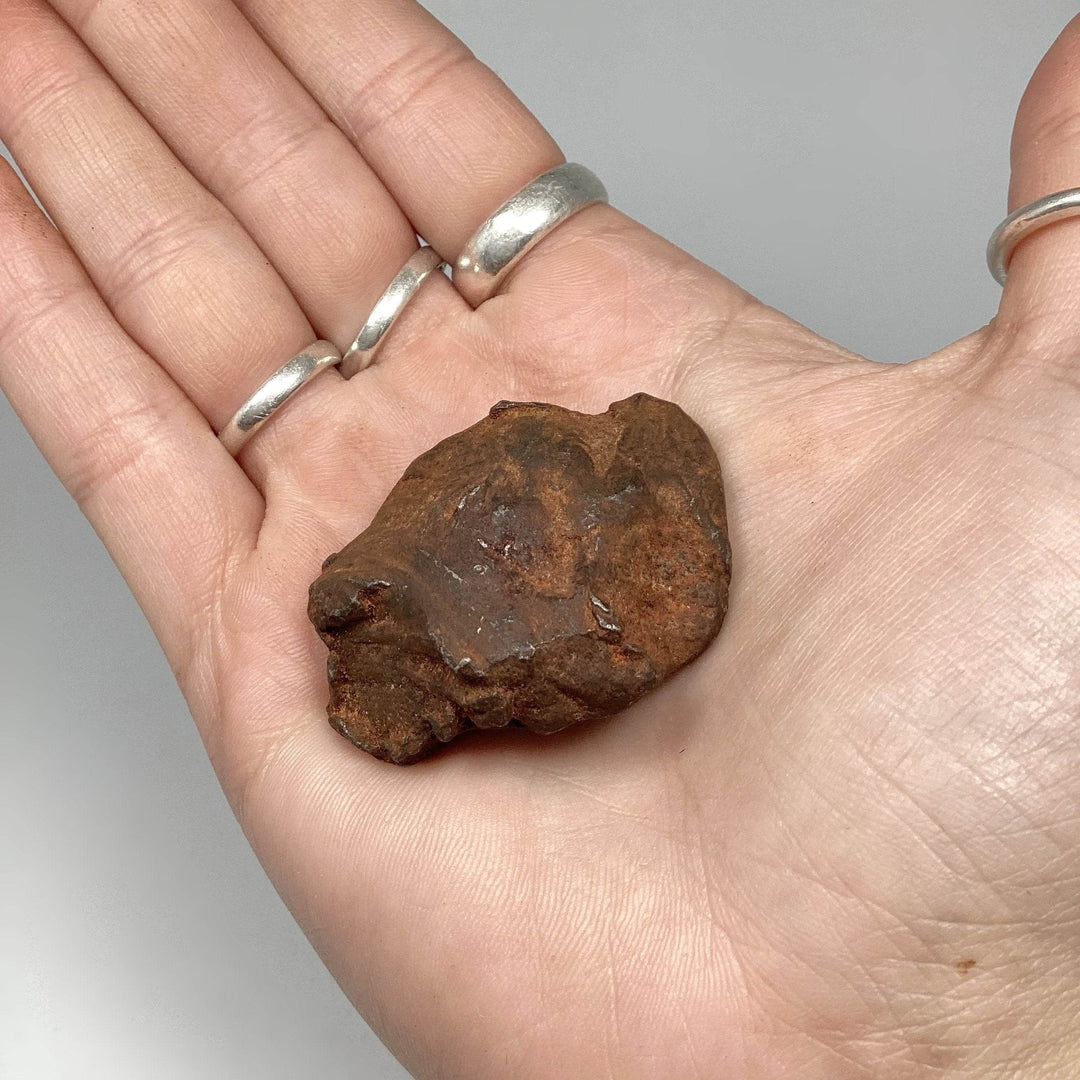 Gebel Kamil Meteorite-Rocks and Gems Canada