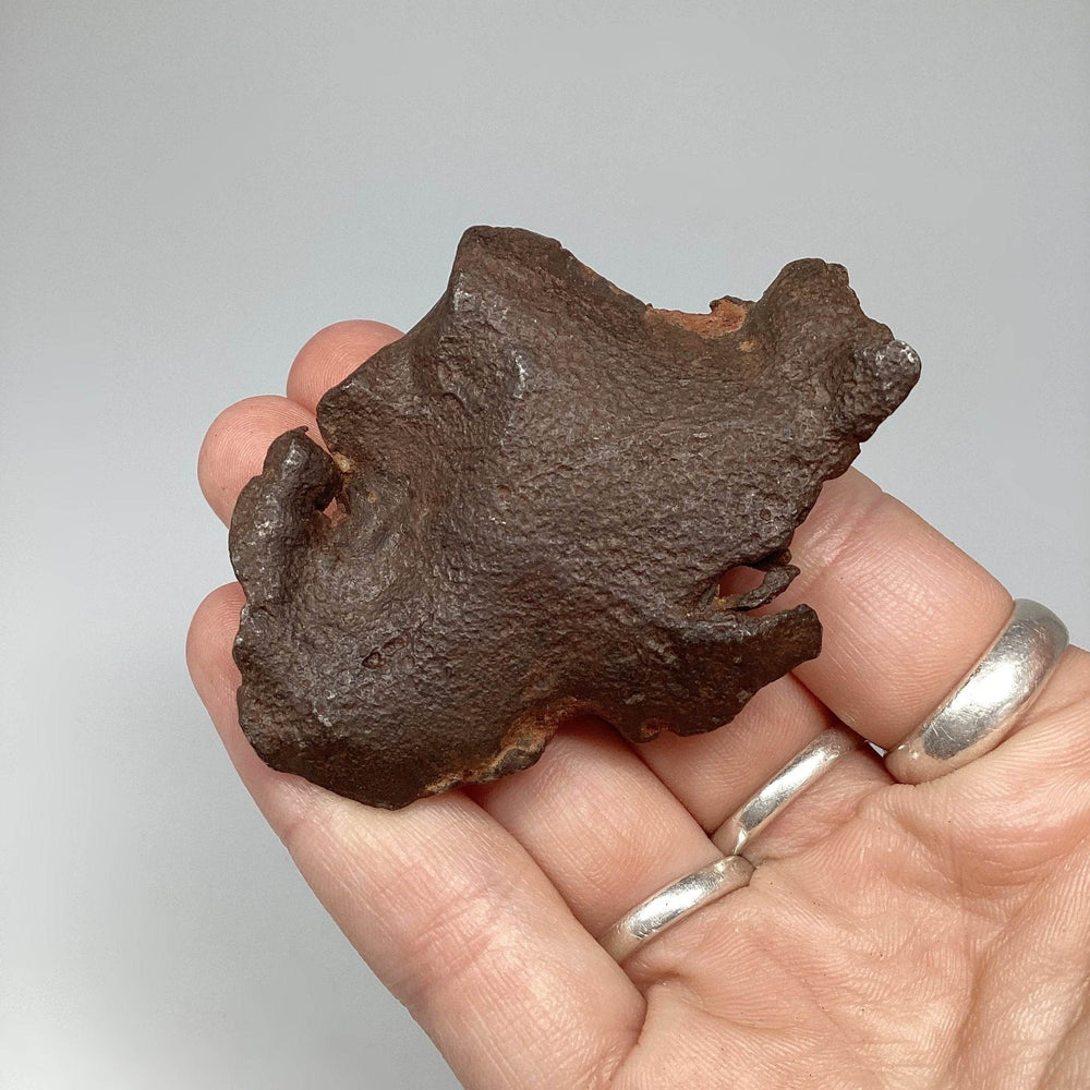 Gebel Kamil Meteorite-Rocks and Gems Canada