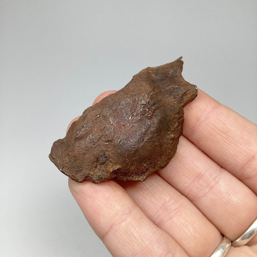 Gebel Kamil Meteorite-Rocks and Gems Canada