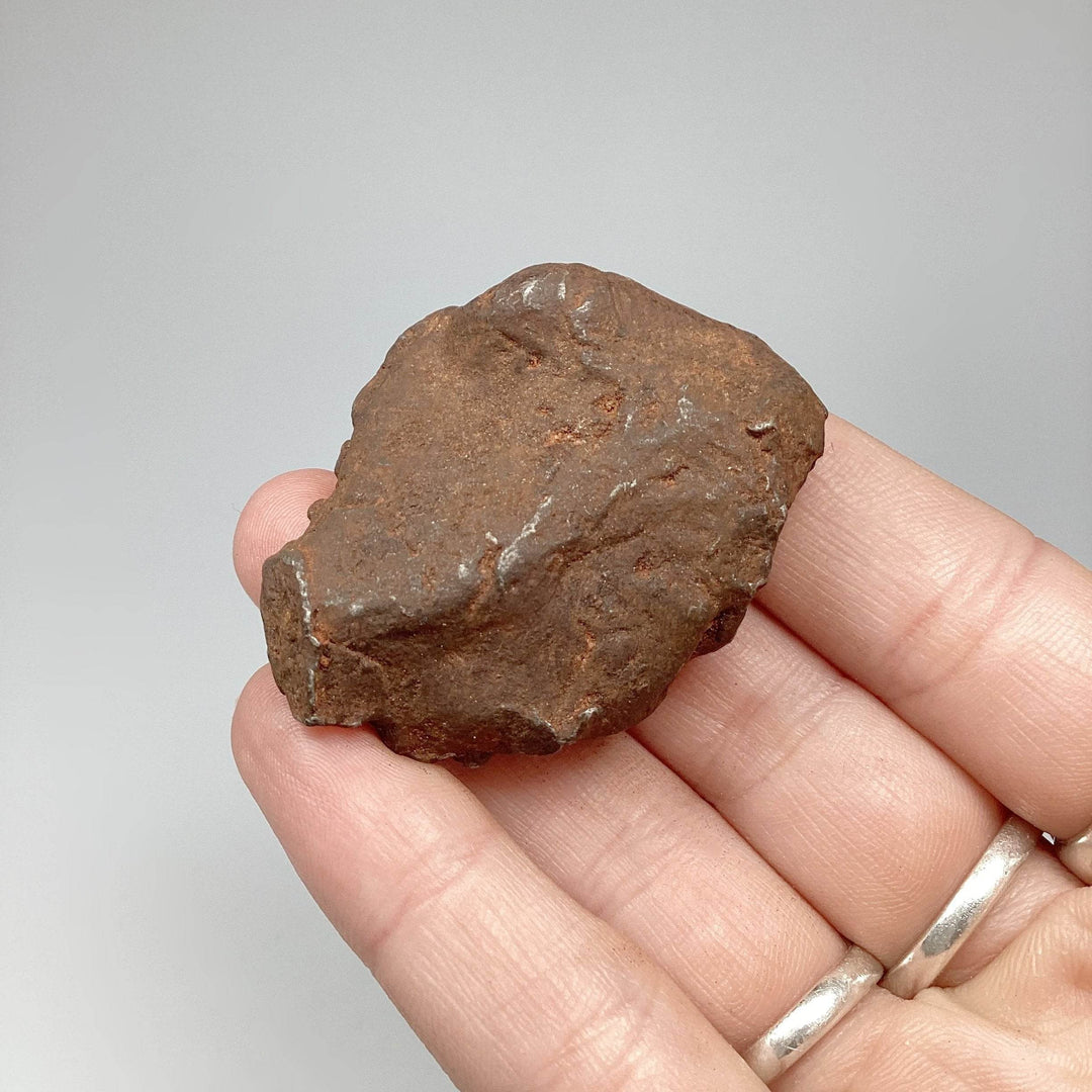 Gebel Kamil Meteorite-Rocks and Gems Canada