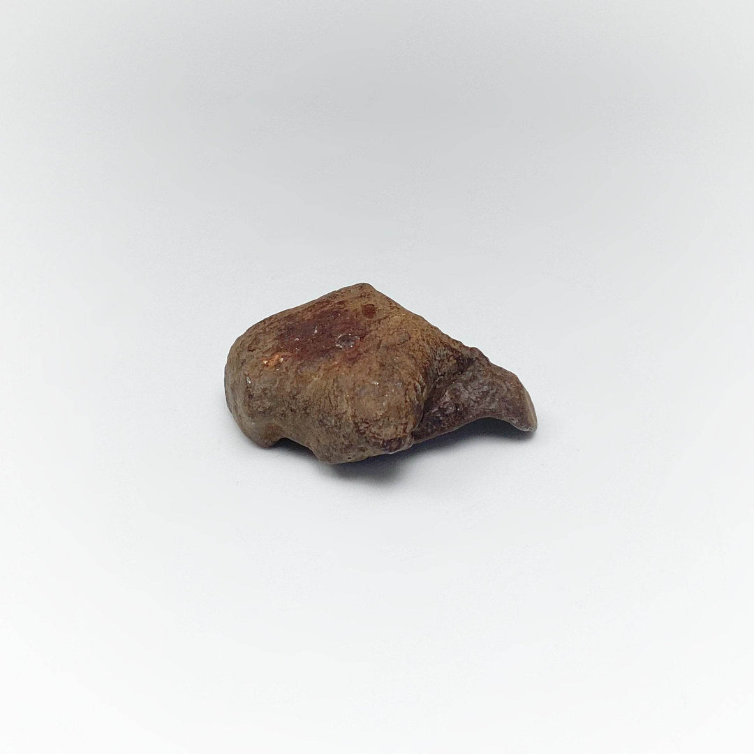 Gebel Kamil Meteorite-Rocks and Gems Canada