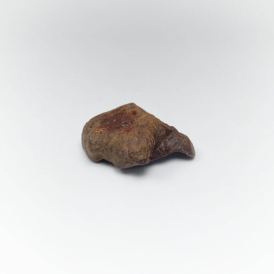 Gebel Kamil Meteorite-Rocks and Gems Canada