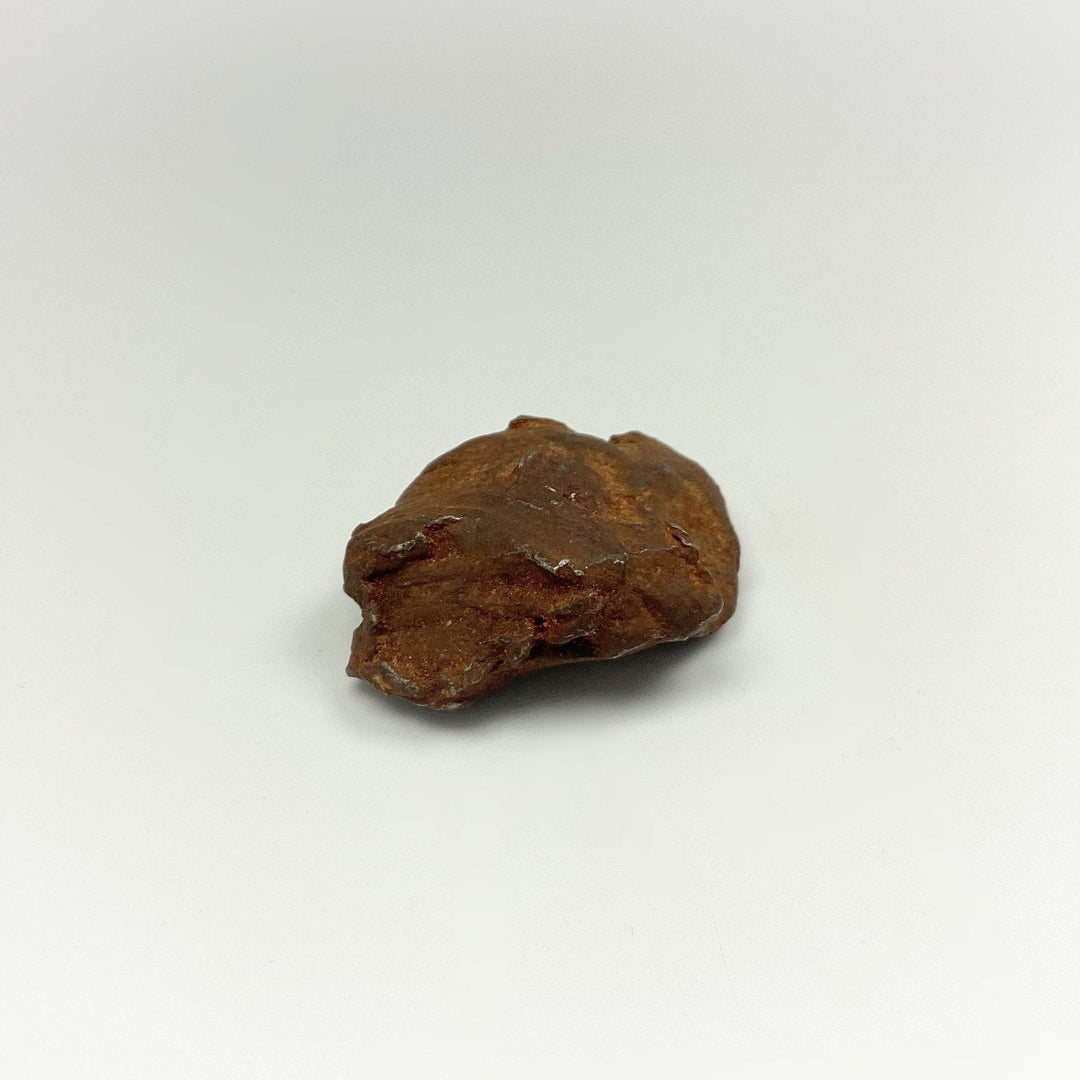 Gebel Kamil Meteorite-Rocks and Gems Canada