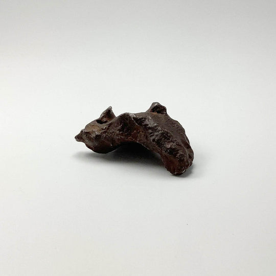 Gebel Kamil Meteorite-Rocks and Gems Canada