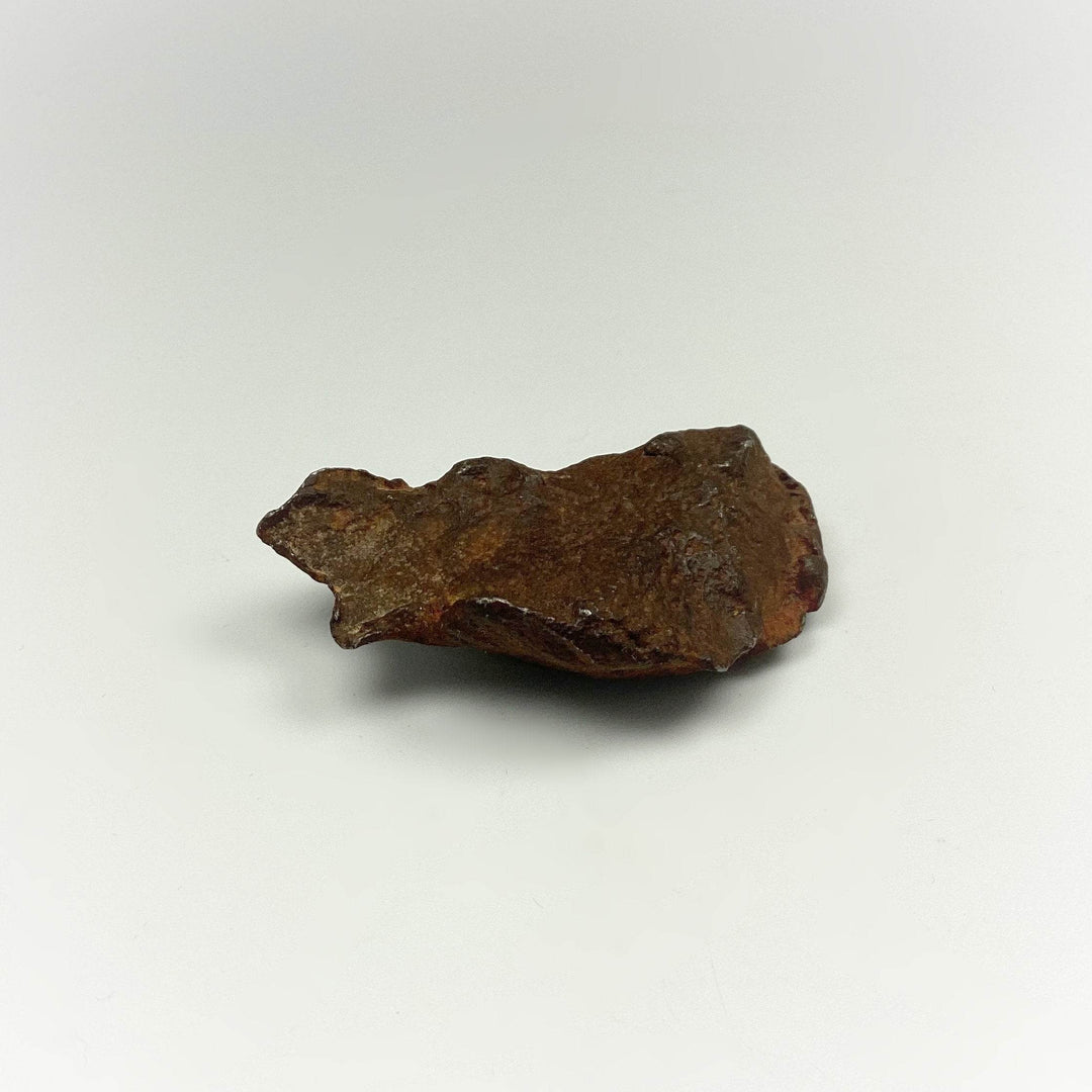 Gebel Kamil Meteorite-Rocks and Gems Canada