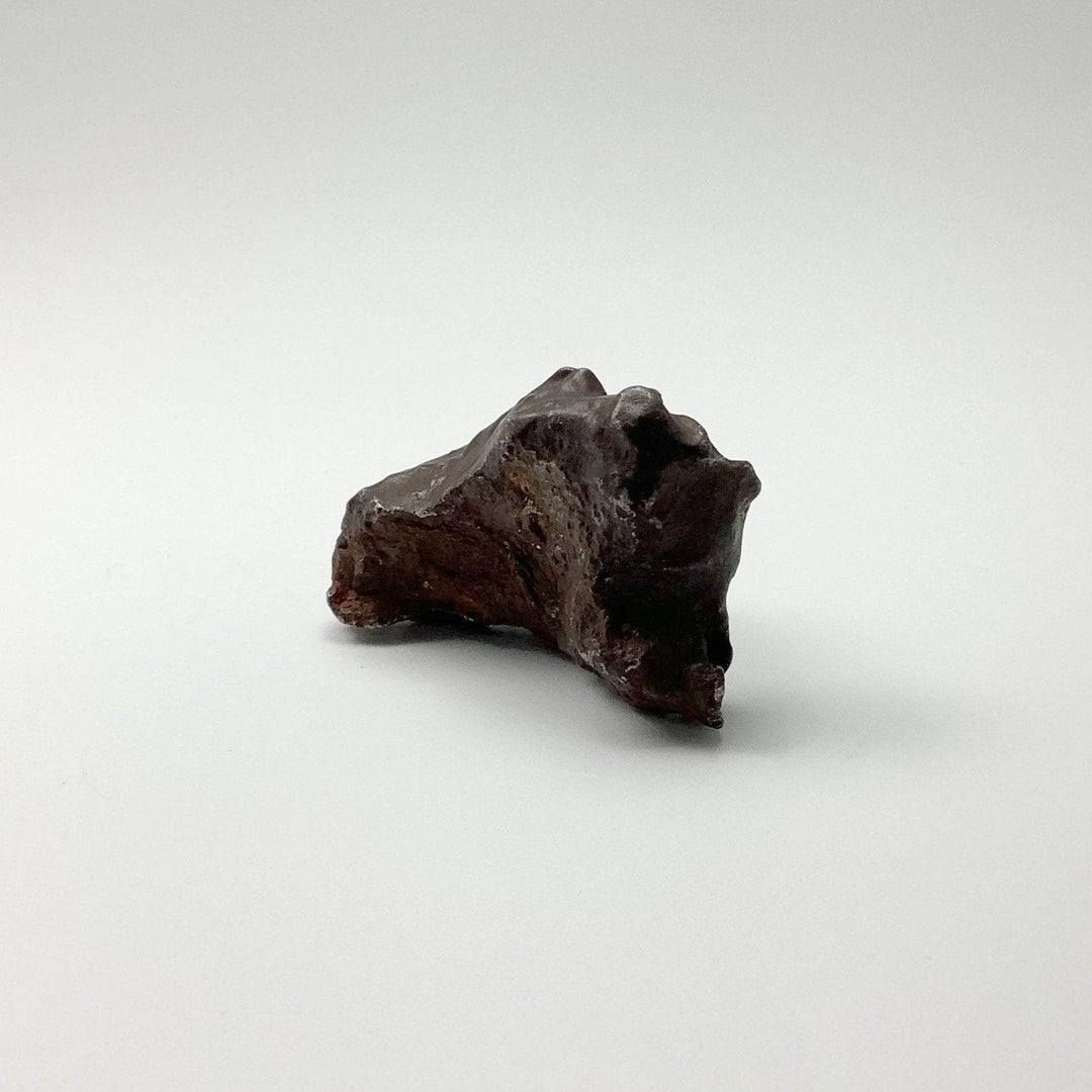 Gebel Kamil Meteorite-Rocks and Gems Canada