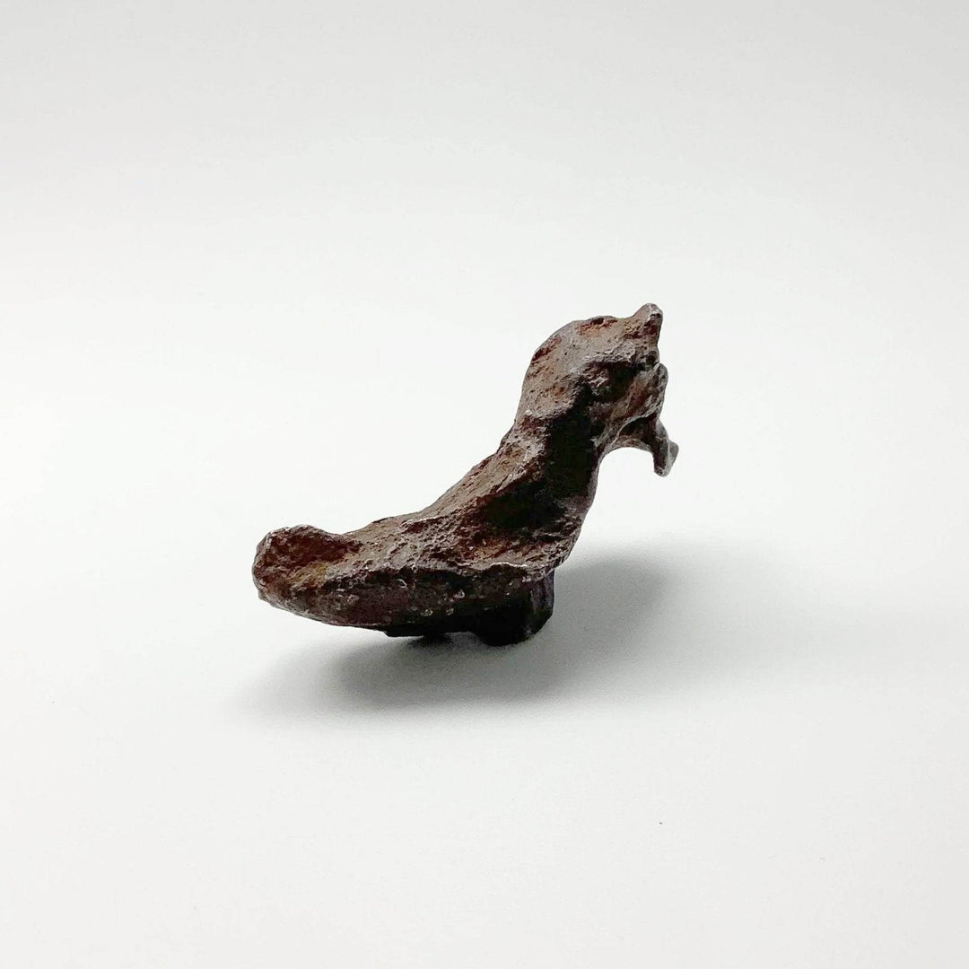 Gebel Kamil Meteorite-Rocks and Gems Canada