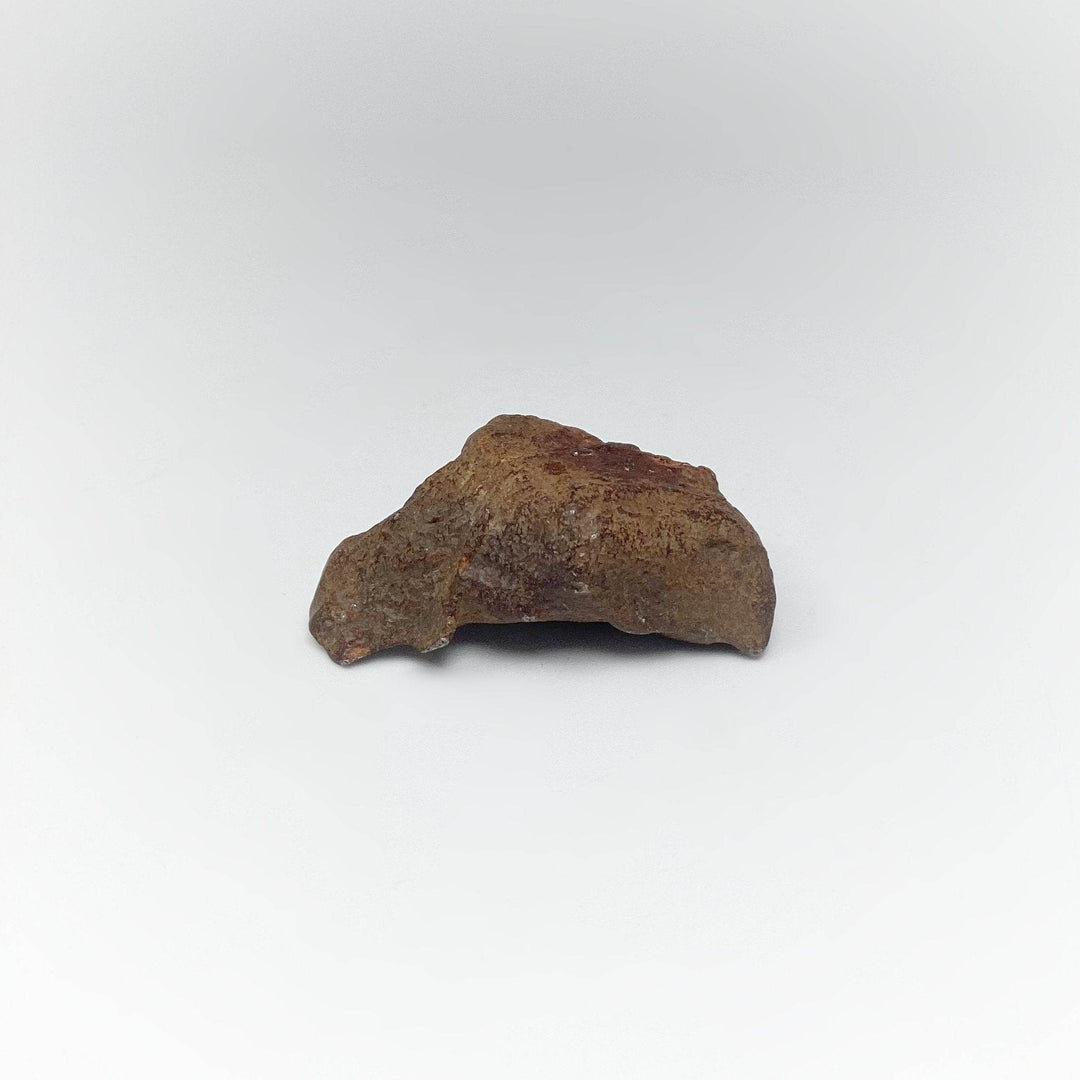 Gebel Kamil Meteorite-Rocks and Gems Canada