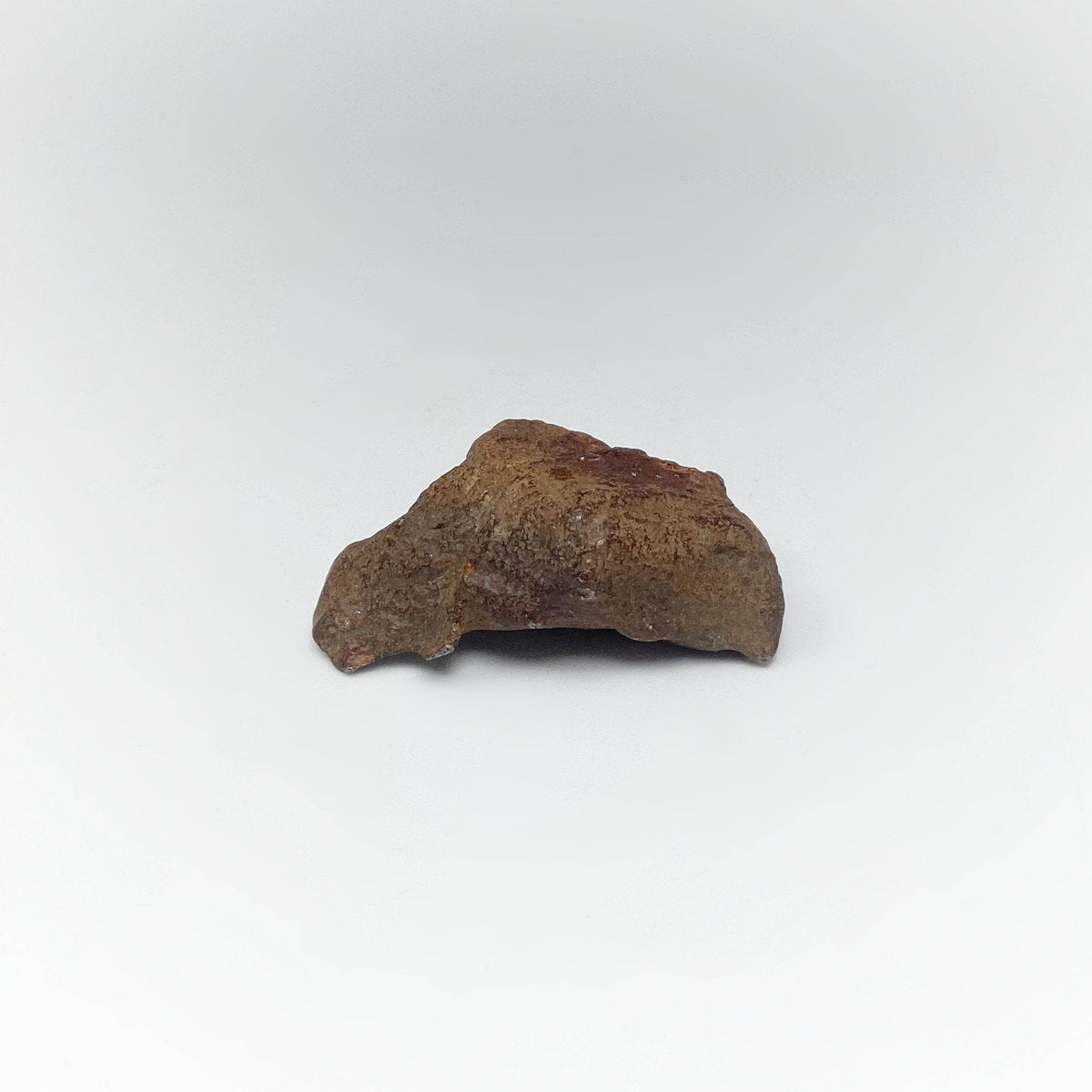 Gebel Kamil Meteorite-Rocks and Gems Canada
