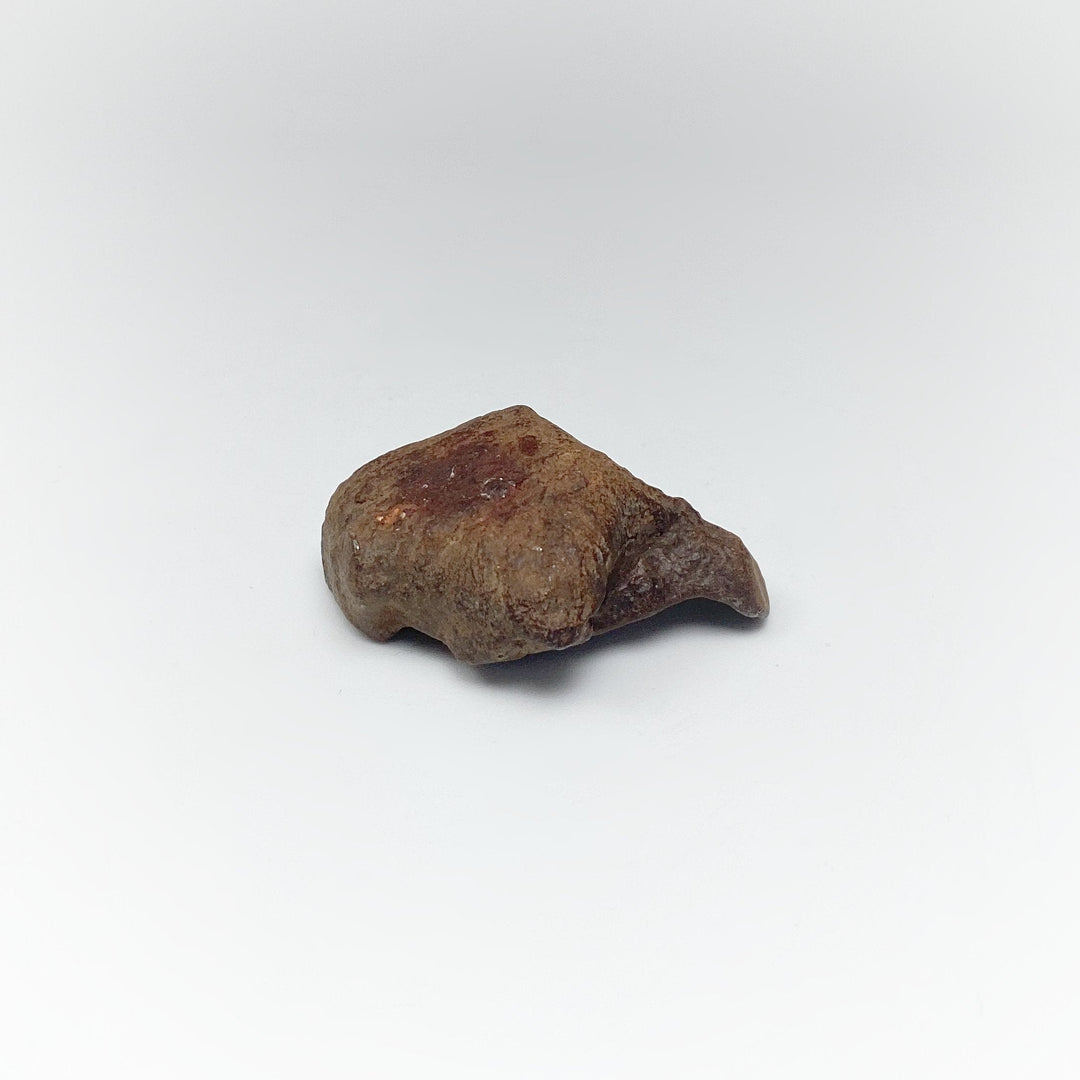 Gebel Kamil Meteorite - Rocks and Gems Canada