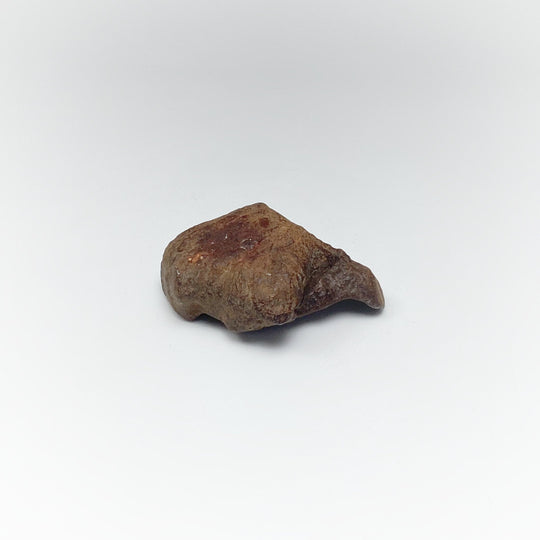 Gebel Kamil Meteorite - Rocks and Gems Canada