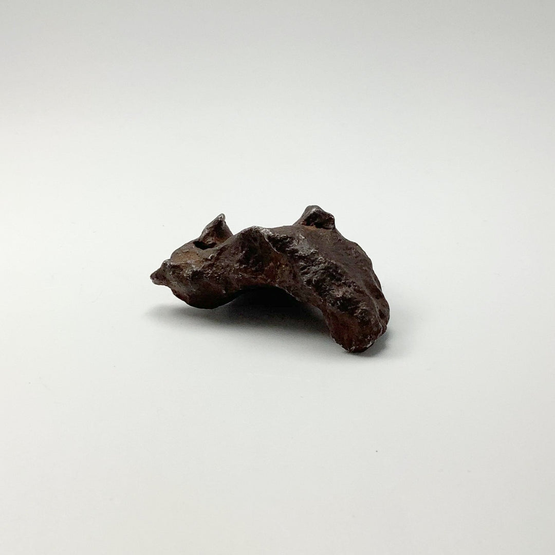 Gebel Kamil Meteorite - Rocks and Gems Canada