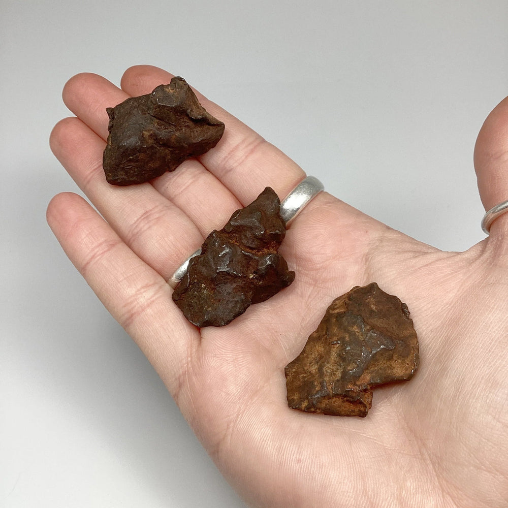 Gebel Kamil Meteorite - Rocks and Gems Canada
