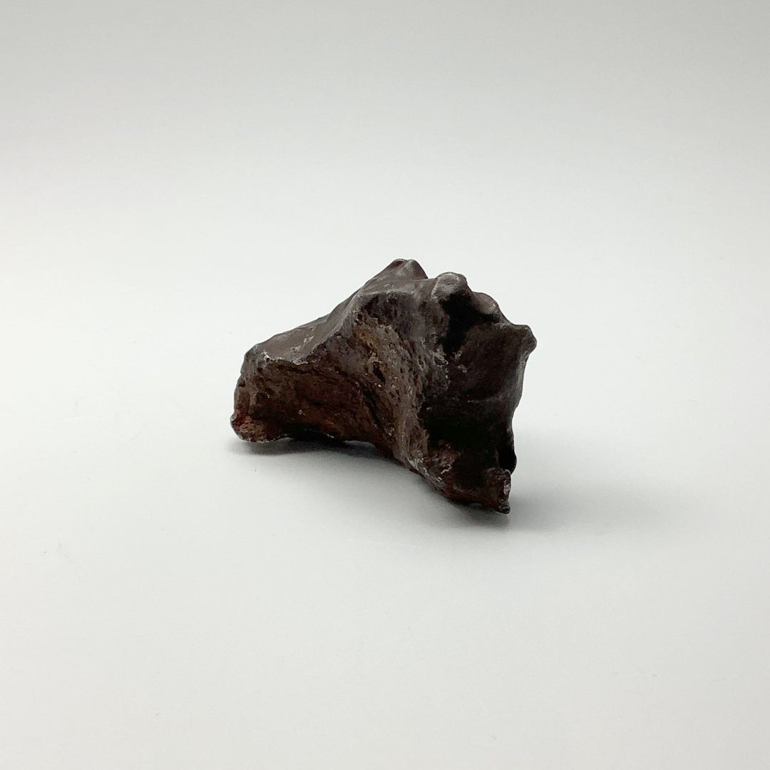 Gebel Kamil Meteorite - Rocks and Gems Canada
