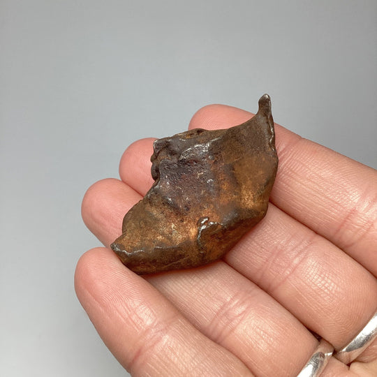 Gebel Kamil Meteorite - Rocks and Gems Canada