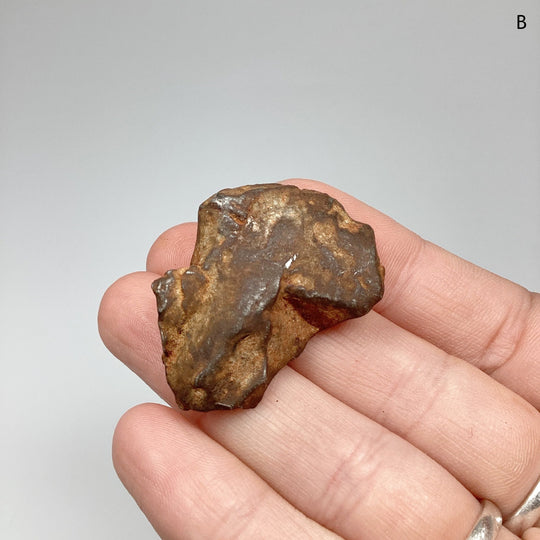 Gebel Kamil Meteorite - Rocks and Gems Canada
