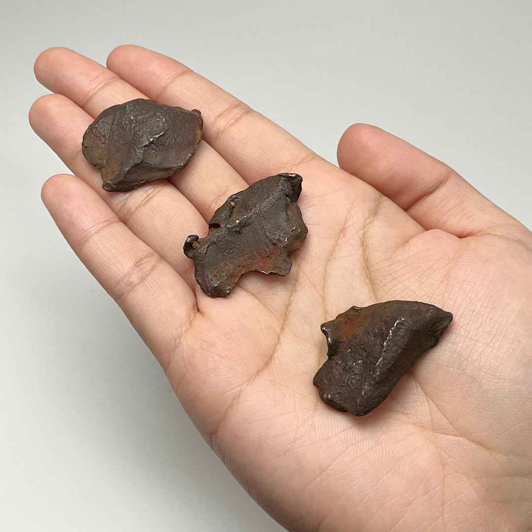 Gebel Kamil Meteorite - Rocks and Gems Canada