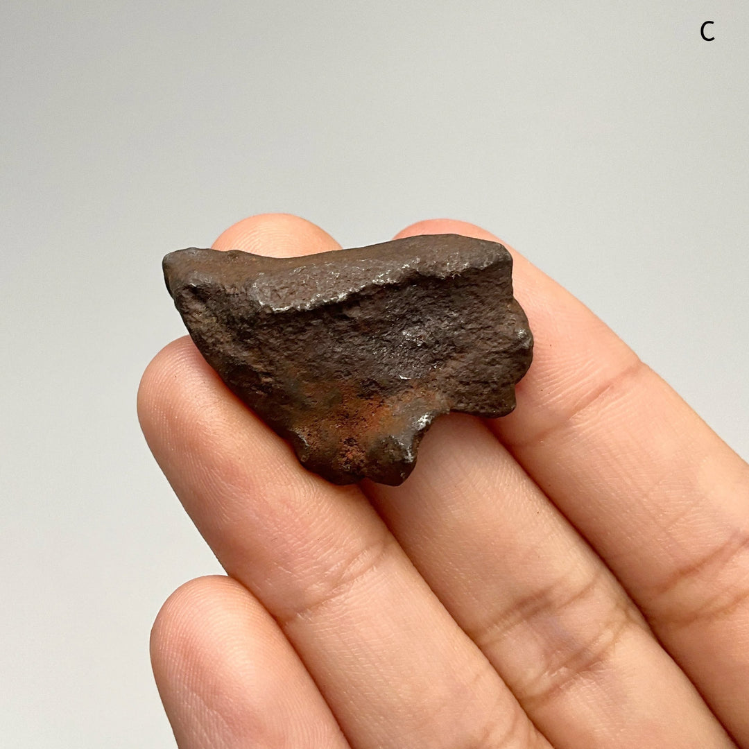 Gebel Kamil Meteorite - Rocks and Gems Canada