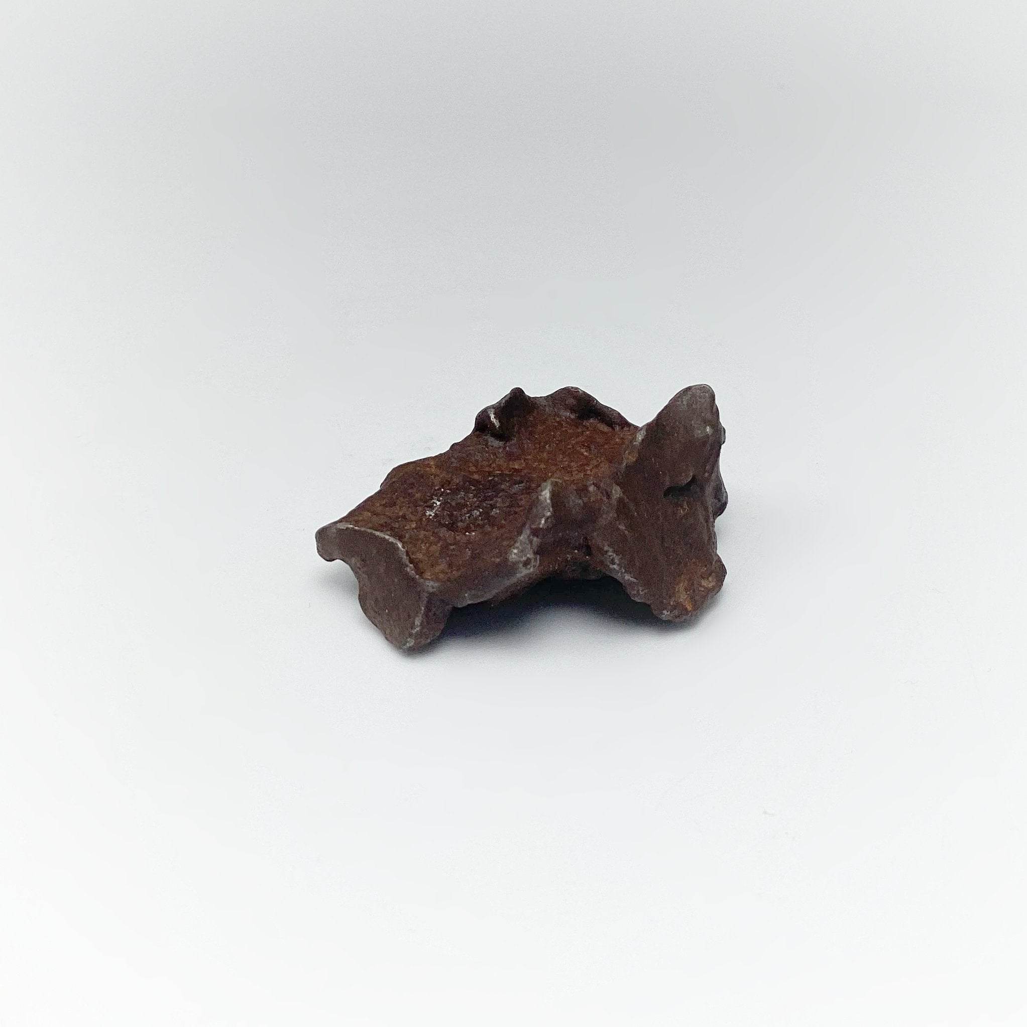 ネックレス・ペンダント Gebel Kamil  meteorite over pendant No11 ネックレス・ペンダント Gebel Kamil meteorite over pendant