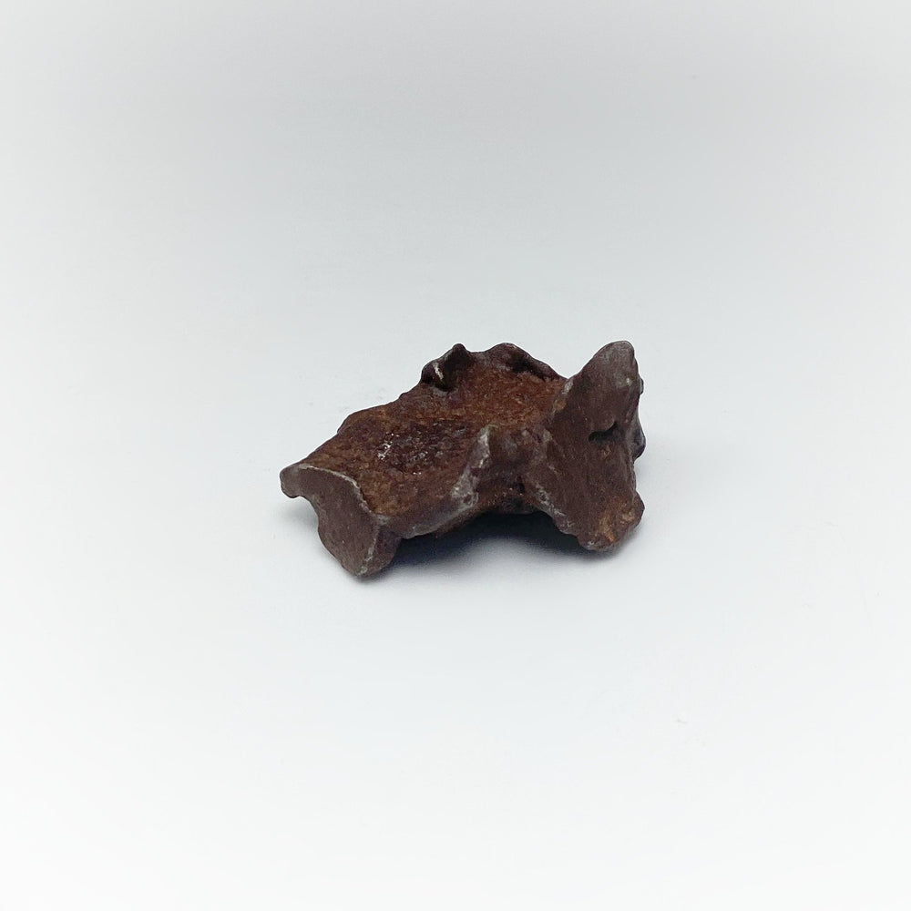 Gebel Kamil Meteorite - Rocks and Gems Canada