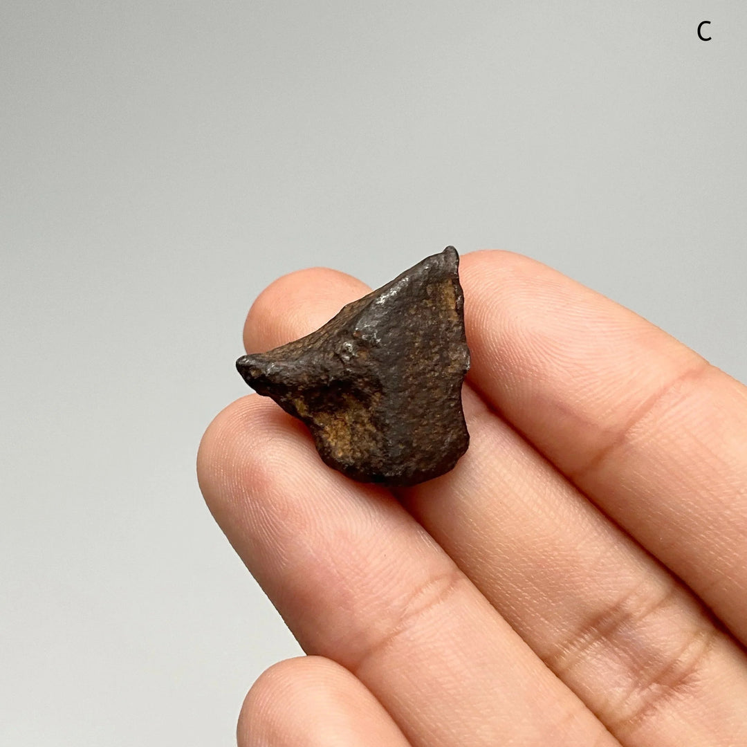 Gebel Kamil Meteorite - Rocks and Gems Canada