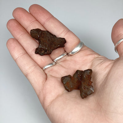 Gebel Kamil Meteorite