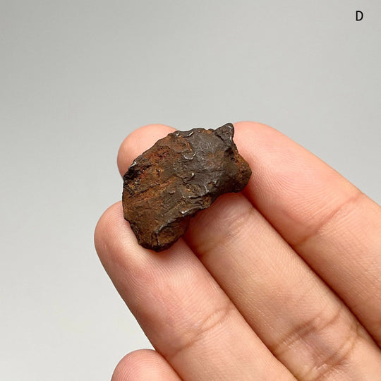Gebel Kamil Meteorite - Rocks and Gems Canada
