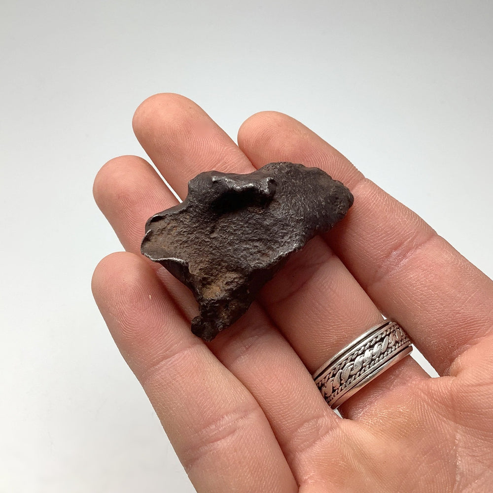 Gebel Kamil Meteorite - Rocks and Gems Canada