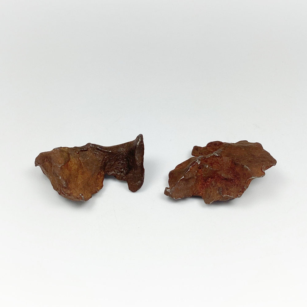 Gebel Kamil Meteorite - Rocks and Gems Canada