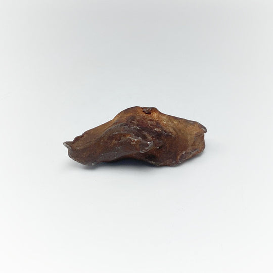 Gebel Kamil Meteorite - Rocks and Gems Canada
