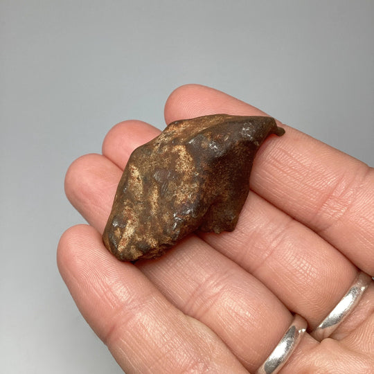 Gebel Kamil Meteorite - Rocks and Gems Canada