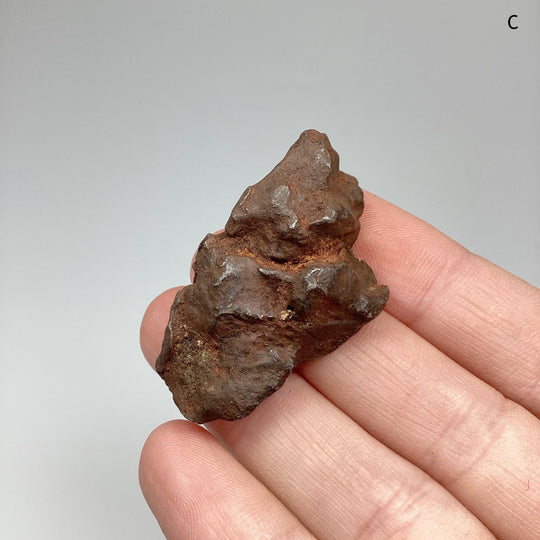 Gebel Kamil Meteorite - Rocks and Gems Canada