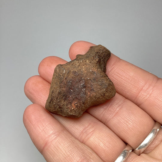 Gebel Kamil Meteorite - Rocks and Gems Canada