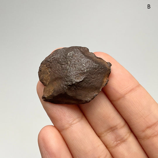 Gebel Kamil Meteorite - Rocks and Gems Canada