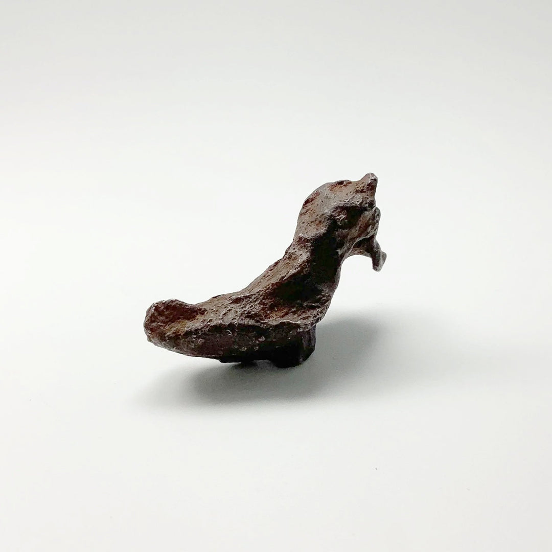 Gebel Kamil Meteorite - Rocks and Gems Canada