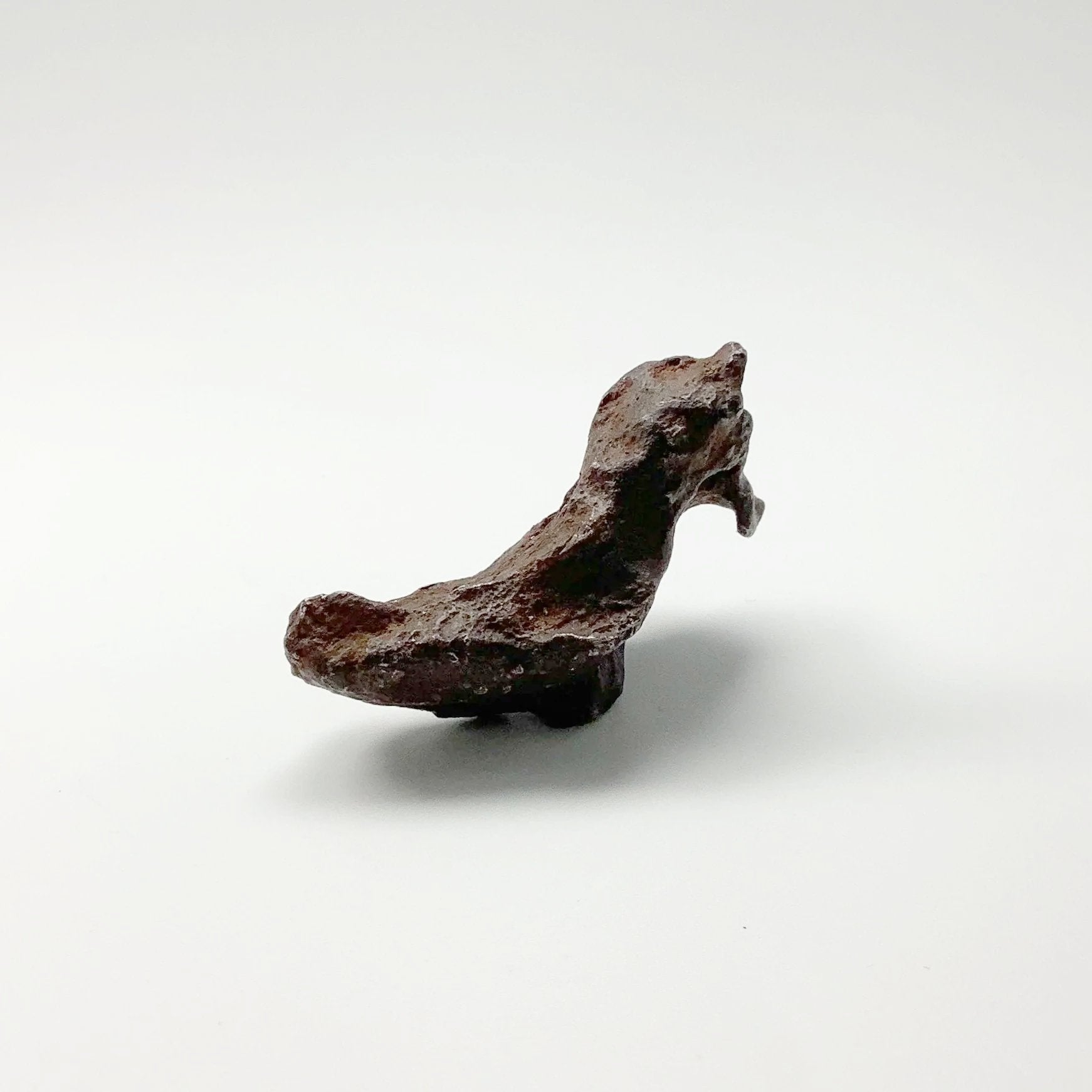 Gebel Kamil Meteorite - Rocks and Gems Canada